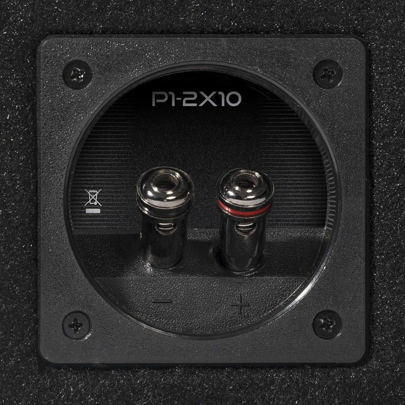 P1-2X10 - Elite Custom Sound