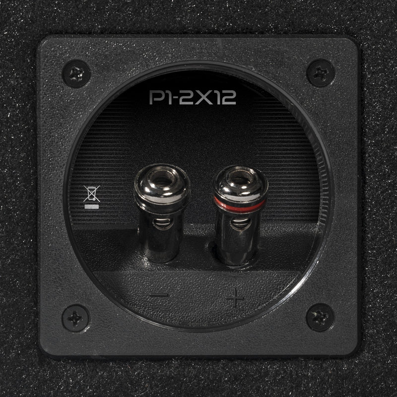P1-2X12 - Elite Custom Sound