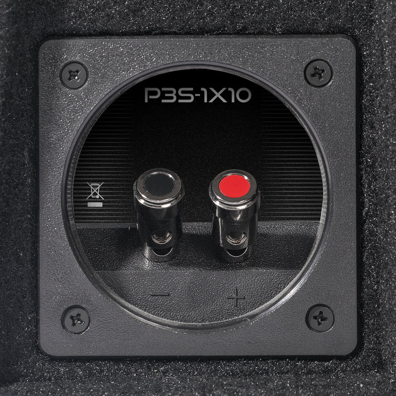 P3S-1X10 - Elite Custom Sound