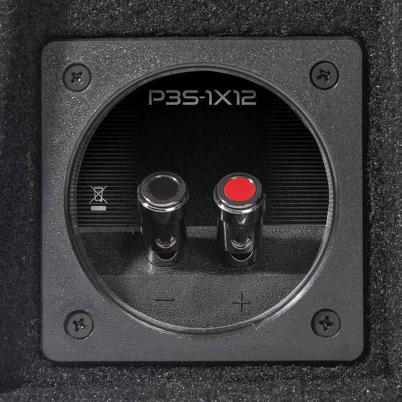 P3S-1X12 - Elite Custom Sound